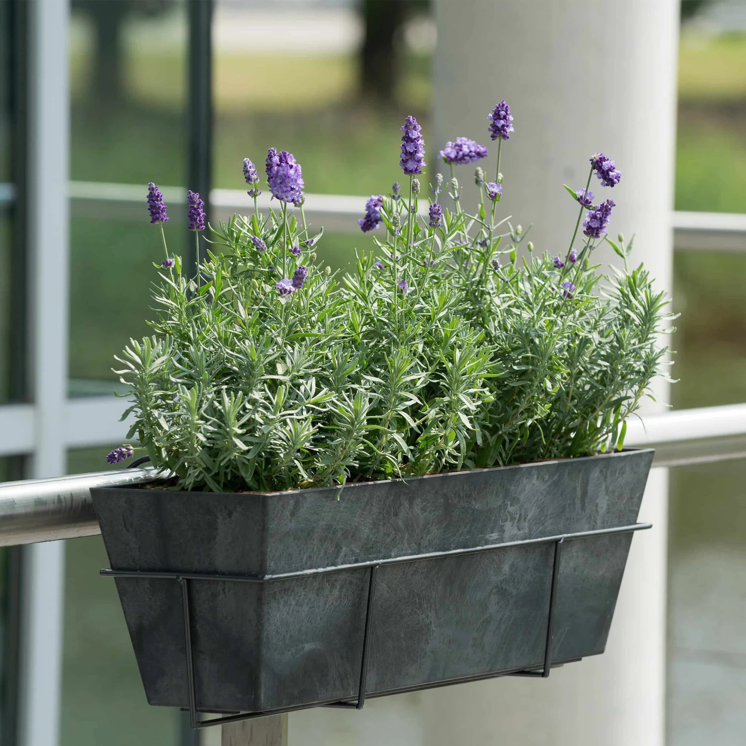 Blumenkastenhalter Amy Eckig L55cm Schwarz – Bild 2