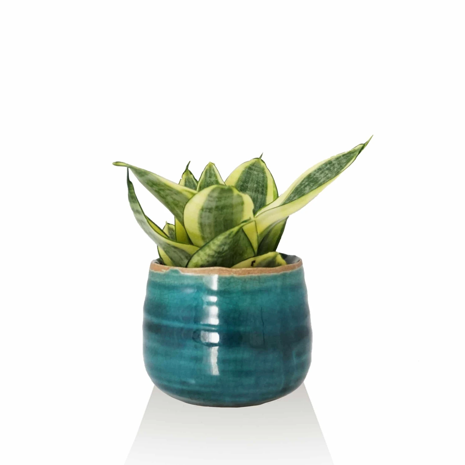 Keramik-Blumentopf Iris D6,5 Cm Türkis – Bild 2