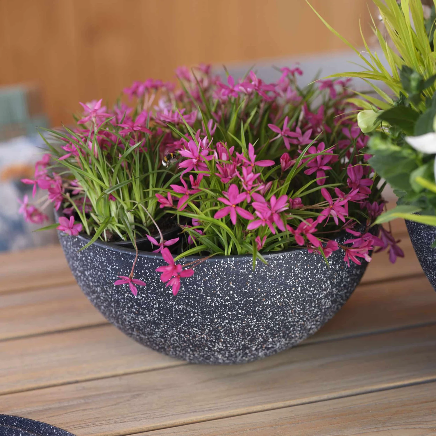 Pflanzschale Nova D25 Cm Terrazzo-schwarz – Bild 2