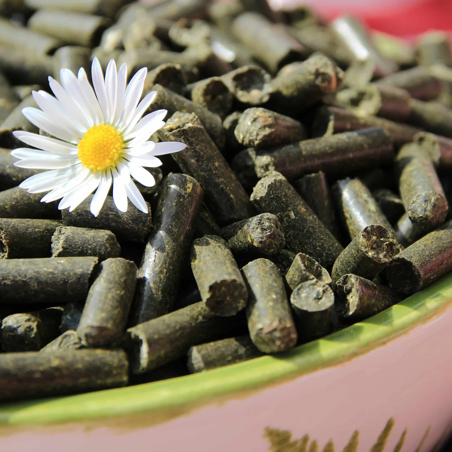 Veganer Bio-Dünger Aus Bioklee 1,75 Kg – Bild 6