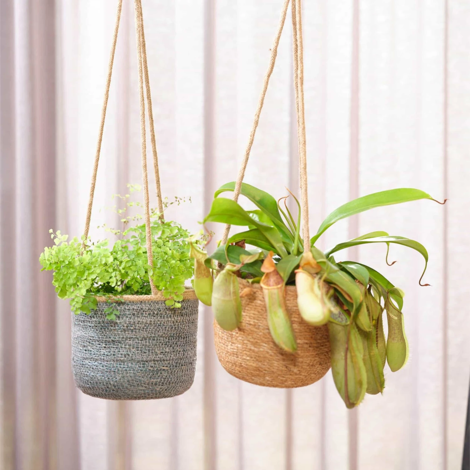 Hänge-Blumentopf Igmar D17 Cm Grau Auslaufmodell – Bild 3