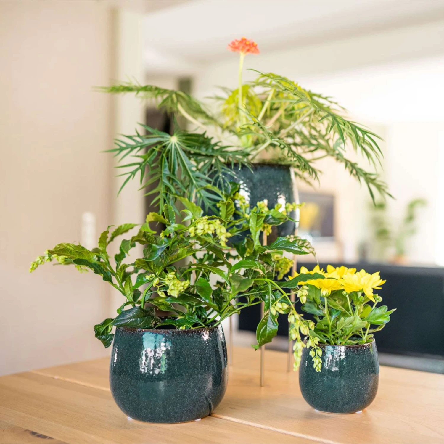 Keramik-Blumentopf Odile D15 Cm Petrol – Bild 3