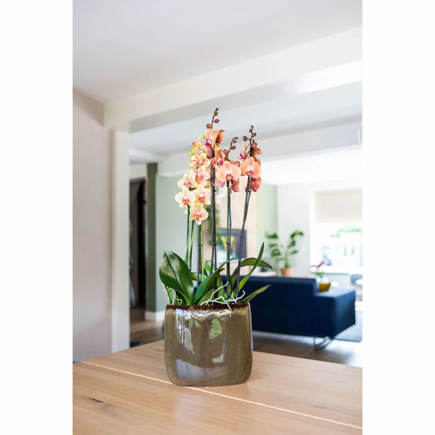 Keramik-Blumentopf Odile D19 Cm Sahara Auslaufmodell – Bild 2