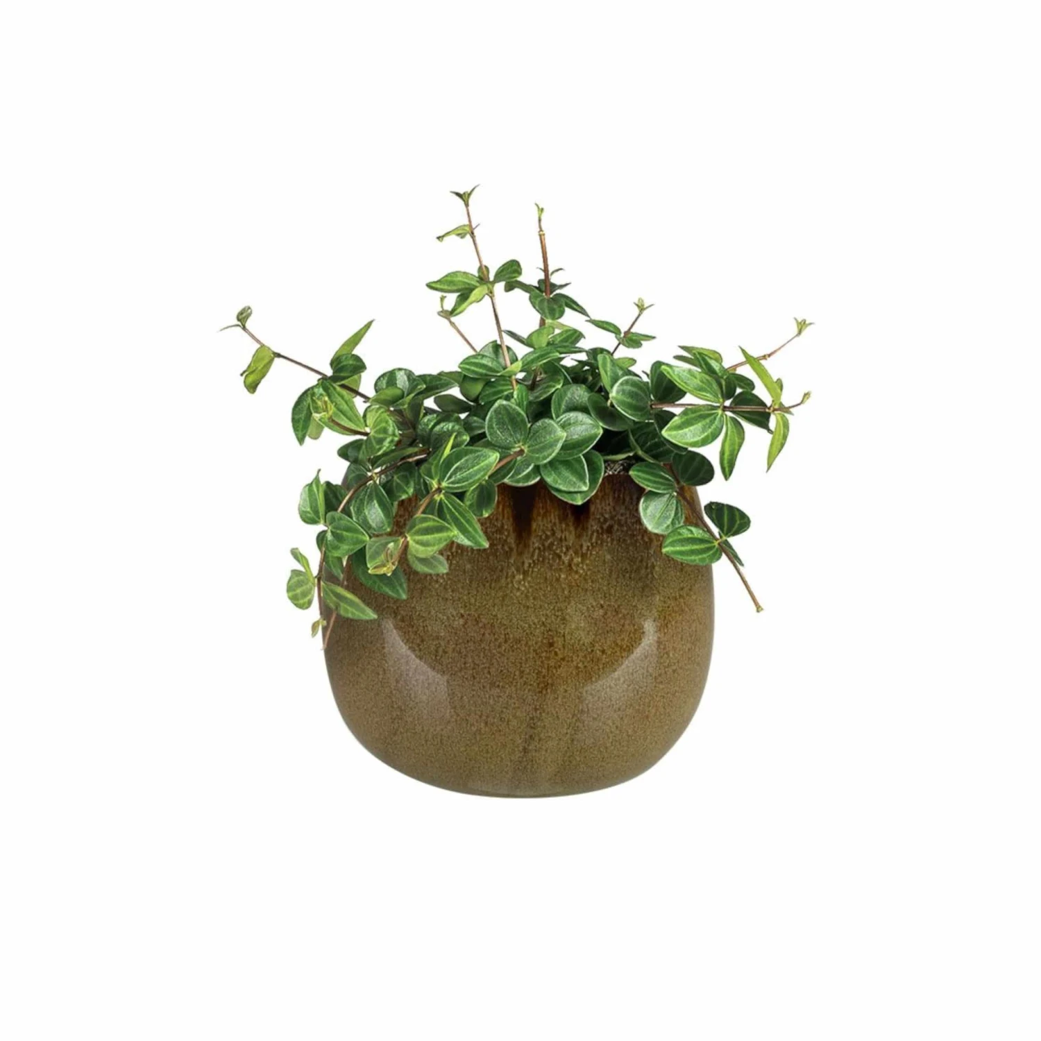 Keramik-Blumentopf Odile D19 Cm Sahara Auslaufmodell – Bild 3