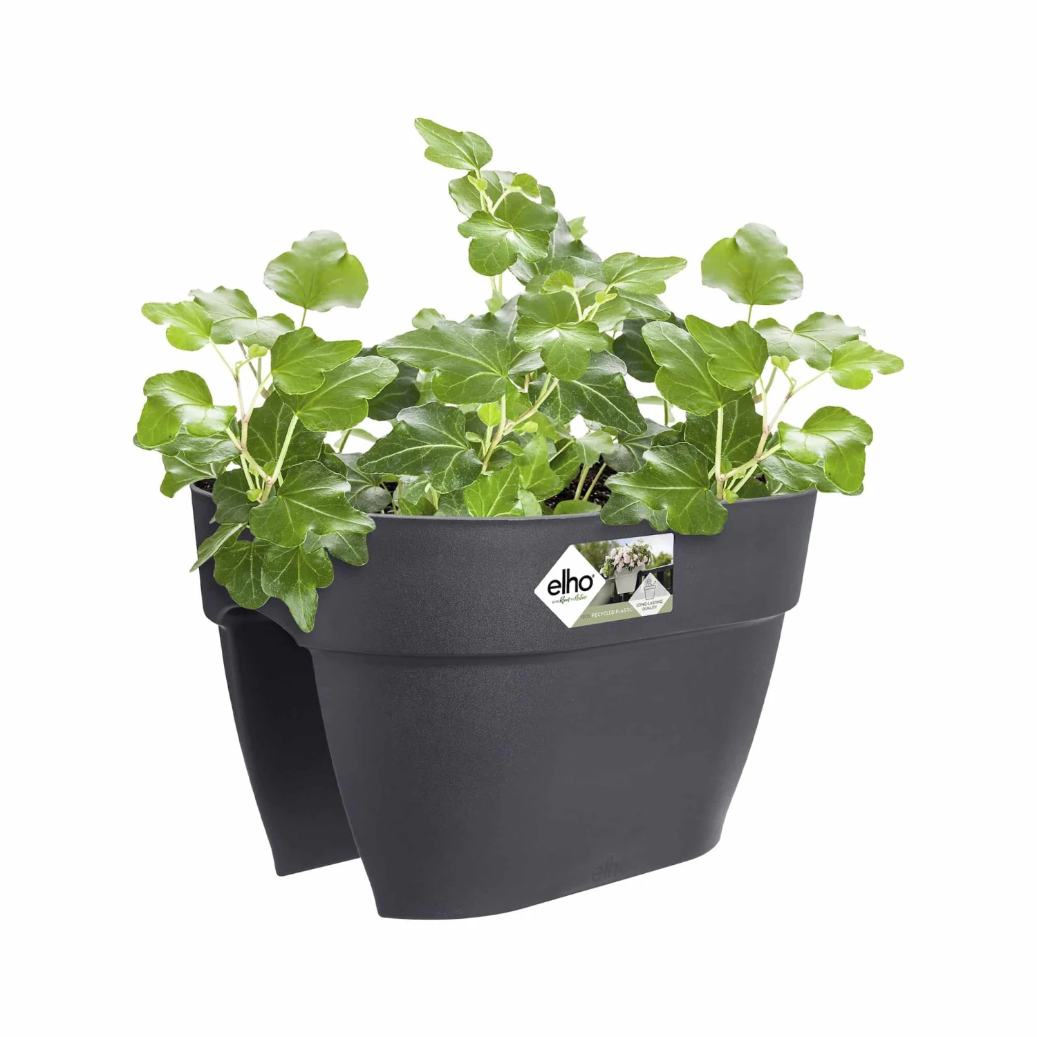 Elho Balkonkasten Vibia Campana Flower Bridge L40 Cm Anthrazit – Bild 2