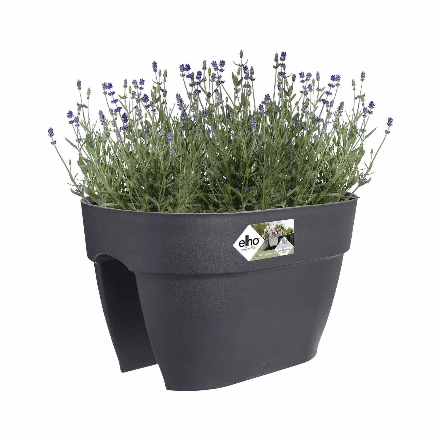 Elho Balkonkasten Vibia Campana Flower Bridge L40 Cm Anthrazit – Bild 4