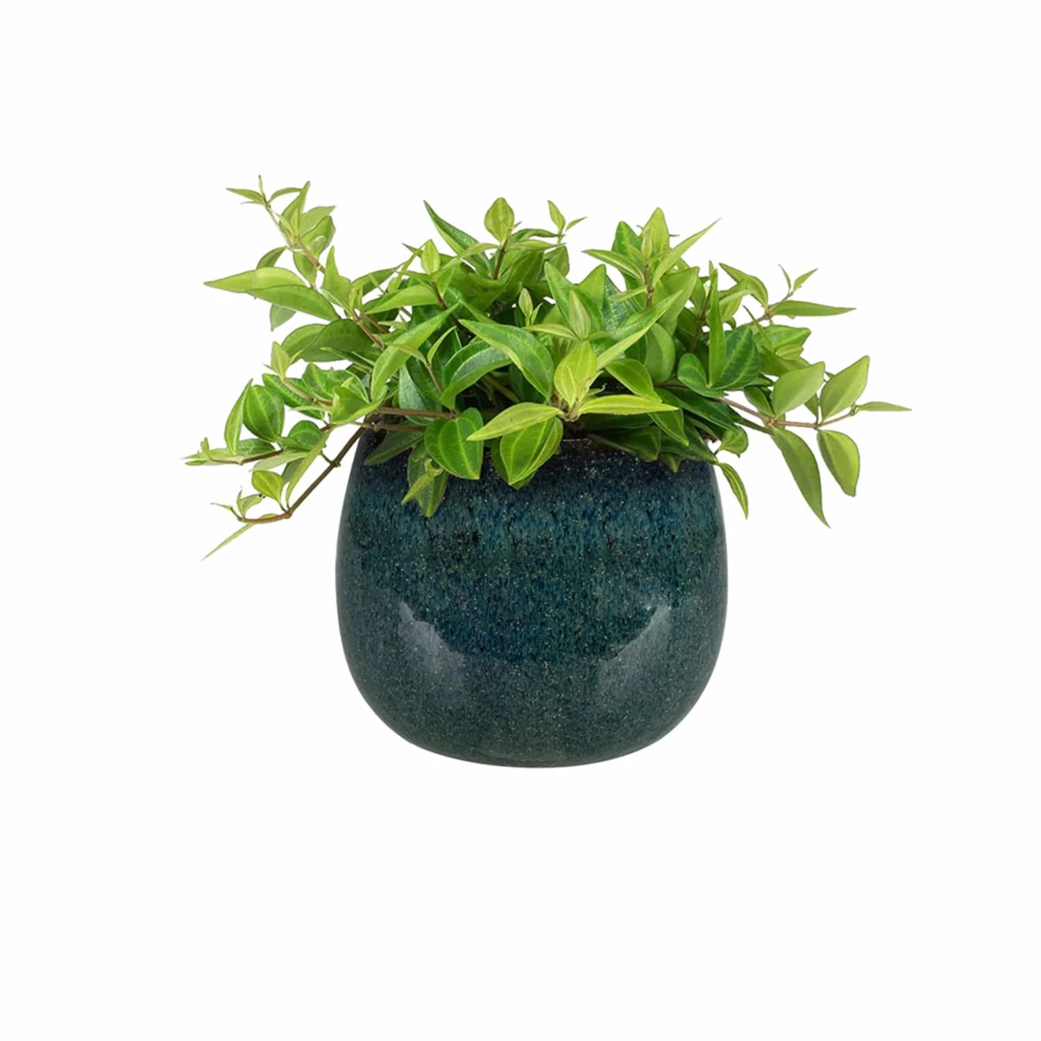 Keramik-Blumentopf Odile D15 Cm Petrol – Bild 2