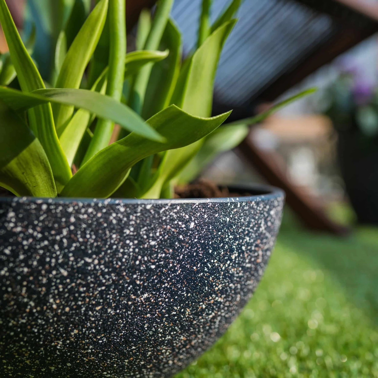 Pflanzschale Nova D25 Cm Terrazzo-schwarz – Bild 4