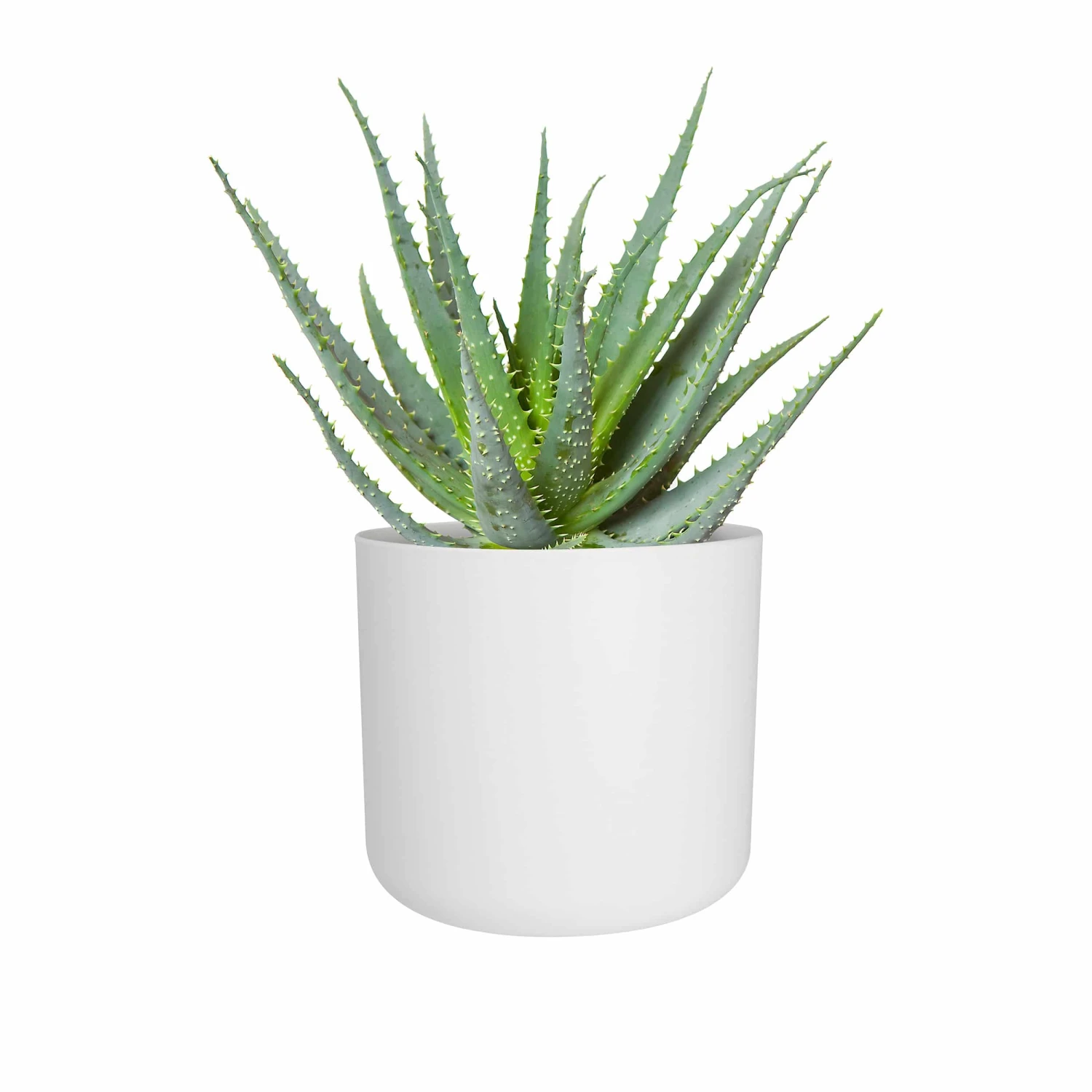 Elho Blumentopf B.for Soft Rund D16 Cm Weiß – Bild 2