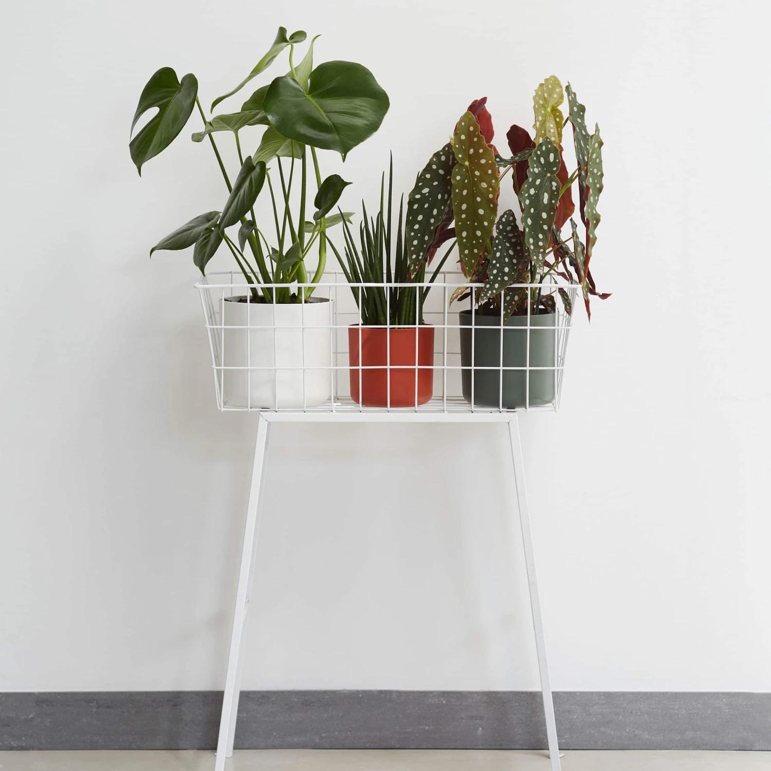 Elho Blumentopf B.for Soft Rund D16 Cm Weiß – Bild 3