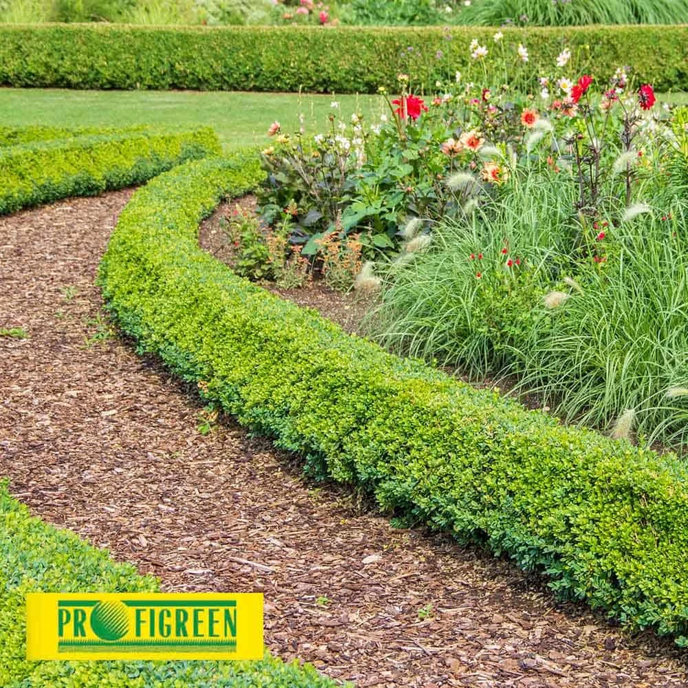 Rindenmulch 60 Liter – Bild 3