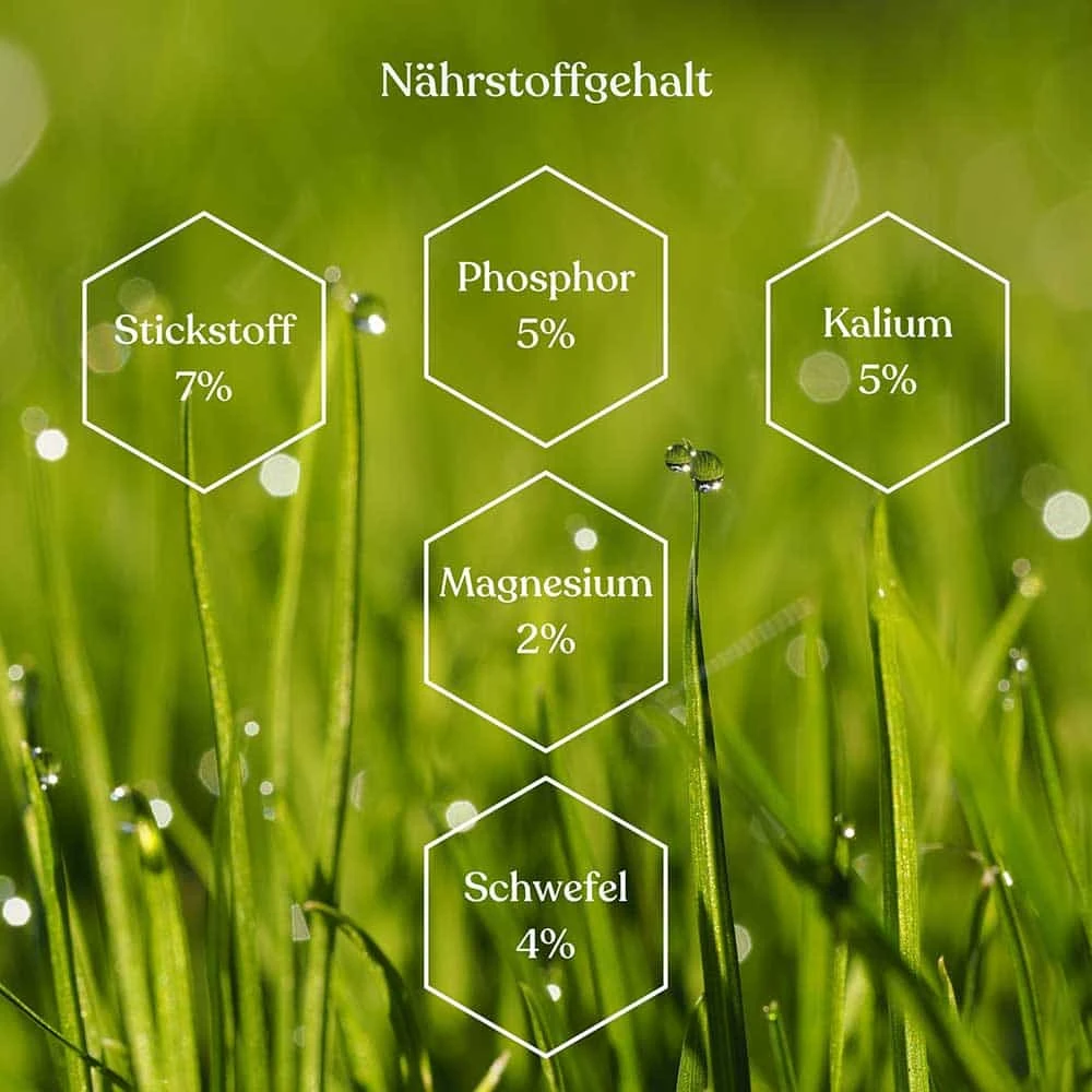 Rasendünger Mit Langzeitwirkung 30 Kg – Bild 3