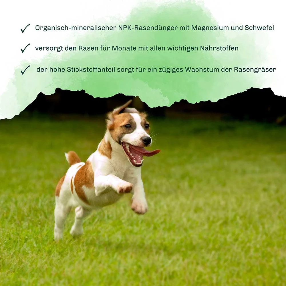 Rasendünger Mit Langzeitwirkung 30 Kg – Bild 4