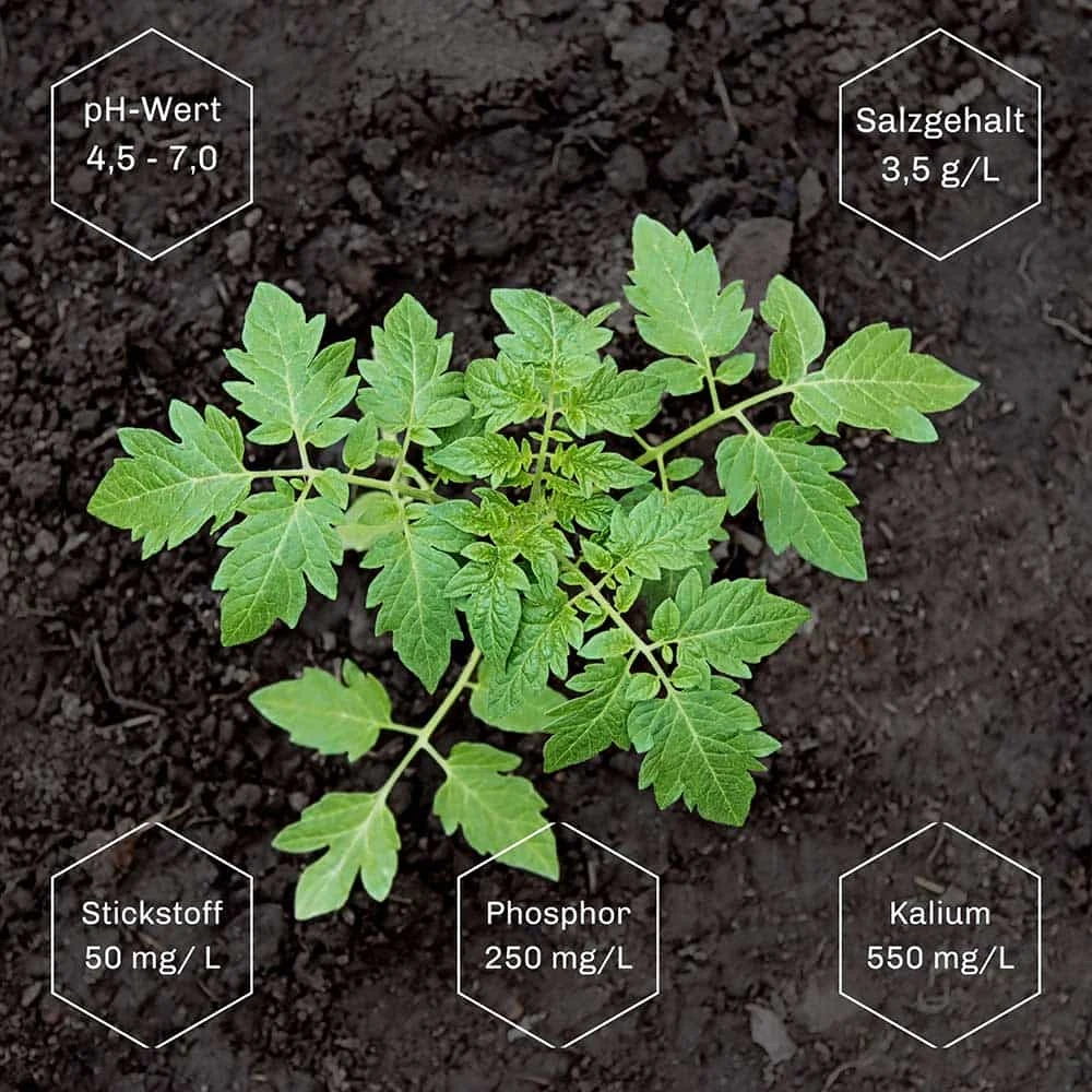 20 Liter Tomaten- & Gemüseerde Torffrei – Bild 3